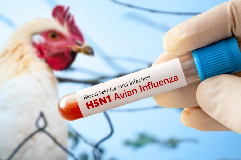 Agro_H5N1_MEXICO_04ABR25_Getty-768x512
